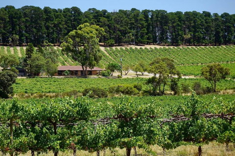 Picturesque Vineyard Farmhouse Nestled On 40-Acres - Accommodation Broadbeach 0
