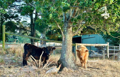 Private, Secluded Farm Retreat - Accommodation Broadbeach 3