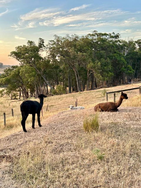 Private, Secluded Farm Retreat - Accommodation Broadbeach 2