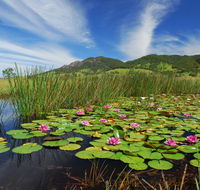 Barrington Hideaway- River Cottages - Accommodation Broadbeach