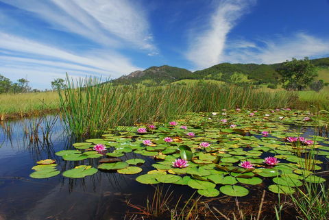 Barrington Hideaway- River Cottages - Accommodation Broadbeach 0