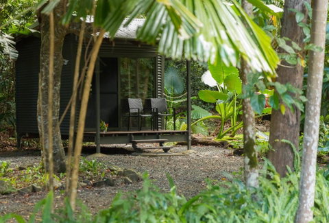 Safari Lodge - Accommodation Broadbeach 2