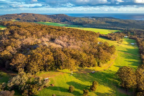 Salt The Tiny Cabin In Denmark - Accommodation Broadbeach 3