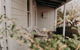 The Allotment Albany - Centrally Located Cottage In Old Albany - thumb 1
