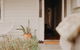 The Allotment Albany - Centrally Located Cottage In Old Albany - thumb 3