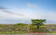 Tahren Beachfront Shack Wifi - Pet-friendly - thumb 1