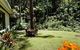 Tallowwood Cottage - thumb 0