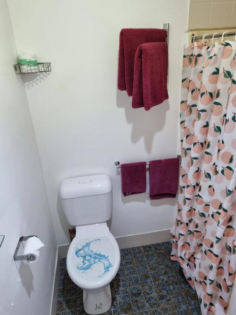 Taree Lodge Motel - Accommodation Broadbeach 1
