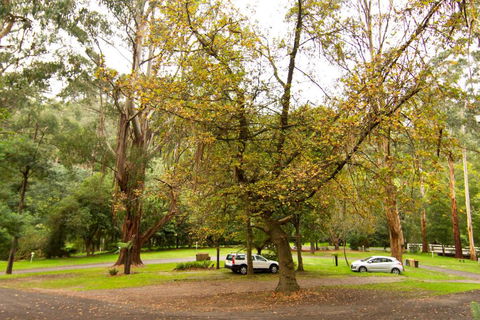 Tarra Valley Retreat - Accommodation Broadbeach 1