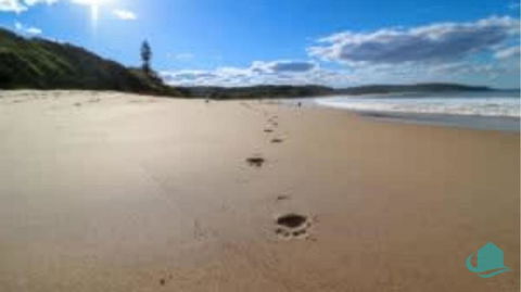 Tasmans Hideaway - Stunning Villa Close To Beach - Accommodation Broadbeach 2