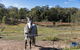 The 2BR Farm Escape Idyllic Scenery Peaceful Tour - thumb 3