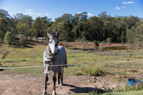 The 2BR Farm Escape Idyllic Scenery Peaceful Tour - Accommodation Broadbeach 3
