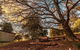 The Cottages At Hepburn Springs - thumb 1