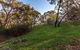 The Cottages At Hepburn Springs - thumb 2