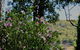 The Getaway Roleystone - thumb 1