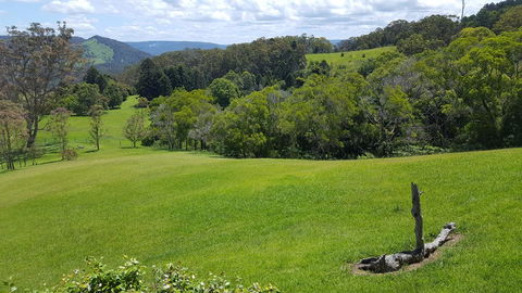 Blue Summit Cottages - Accommodation Broadbeach 3