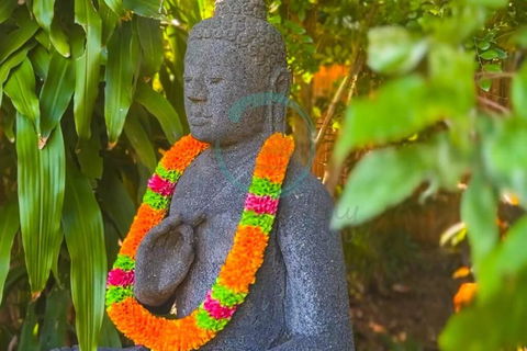 Zenhouse: 6-BR Balinese Tropical Oasis In Nightcliff Central - Accommodation Broadbeach 3