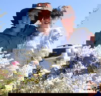 Spring Wildflower Private Day Tours - Accommodation Broadbeach