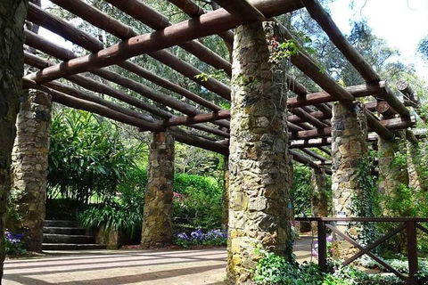 Spring Wildflower (Private) Day Tours - Accommodation Broadbeach 2