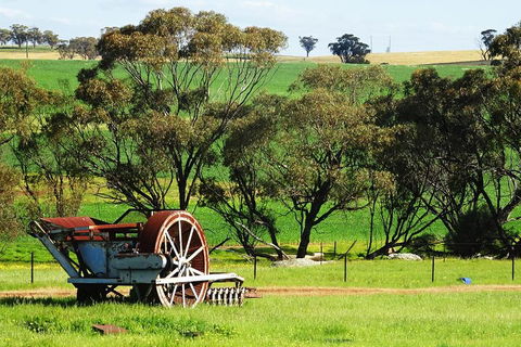 Spring Wildflower (Private) Day Tours - Accommodation Broadbeach 4