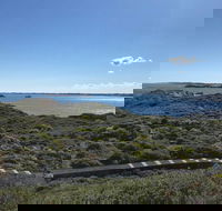 Penguin Island And Fremantle - Canoe Chocolate  Coffee - Accommodation Broadbeach