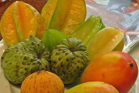 Cairns 4WD Waterfall And Rainforest Tour Including Kuranda Scenic Railway - Accommodation Broadbeach 4