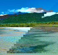 8-Day Cairns Tour Great Barrier Reef Kuranda Daintree Rainforest - Accommodation Broadbeach