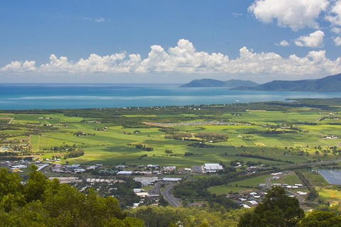 3-Day Best Of Cairns Combo: The Daintree Rainforest, Great Barrier Reef, And Kuranda - Accommodation Broadbeach 3