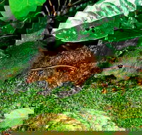 3-Day Small-Group Tour of North Queensland with Pick Up - Accommodation Broadbeach