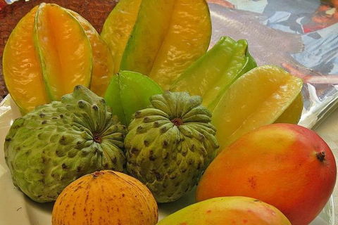 Cairns National Park Rainforest And Waterfall Small Group Tour Shore Excursion - Accommodation Broadbeach 5