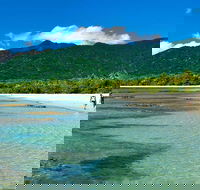 Private Daintree National Park Day Tour from Cairns Including Cape Tribulation and Mossman Gorge - Accommodation Broadbeach