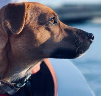 1.5-Hour Boat Rental in Melbourne - Accommodation Broadbeach