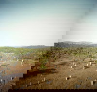 ETHICAL ADVENTURES - Litchfield Region Max 10 guests - Accommodation Broadbeach