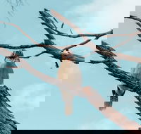 Highlights Of Kings Park - Accommodation Broadbeach