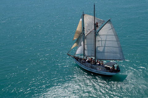 Whitehaven Beach Sailing And Snorkeling Cruise - Accommodation Broadbeach 1