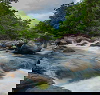 Cape Tribulation Day Tour - Accommodation Broadbeach