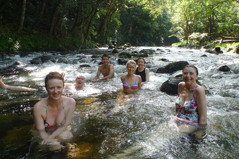 Daintree Rainforest, Cape Tribulation, Mossman Gorge Small-Group Day Tour - Accommodation Broadbeach 0