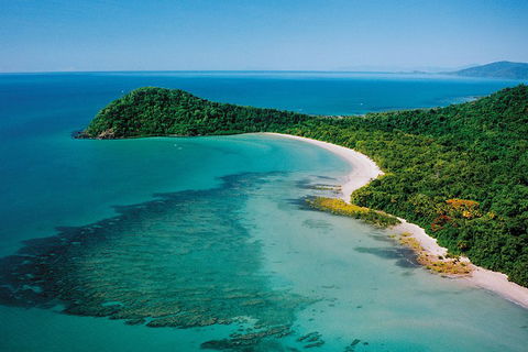 Daintree Rainforest, Cape Tribulation, Mossman Gorge Small-Group Day Tour - Accommodation Broadbeach 4