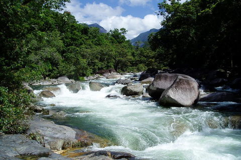 Daintree Rainforest, Cape Tribulation, Mossman Gorge Small-Group Day Tour - Accommodation Broadbeach 5