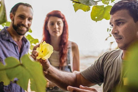 Ngana Julaymba Dungay - Full Day - Accommodation Broadbeach 4