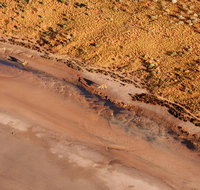 Scenic Flight Lizard Safari - Accommodation Broadbeach