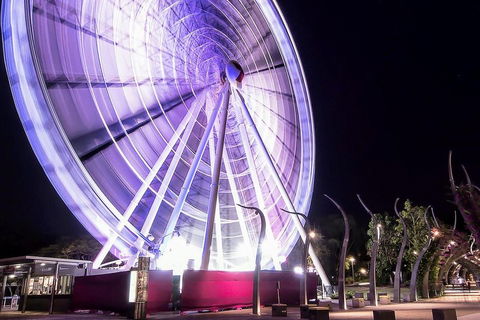 Discover Brisbane - Accommodation Broadbeach 0