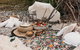 A Picnic In Byron Bay - thumb 3