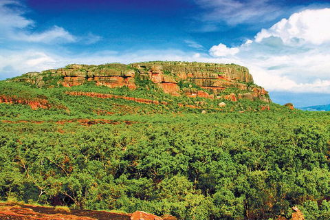 Kakadu, Nourlangie And Yellow Waters Tour From Darwin - Accommodation Broadbeach 3