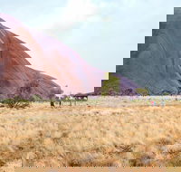 Uluru Sunrise and Guided Base Walk - Accommodation Broadbeach