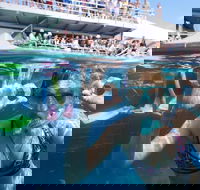 Great Barrier Reef Day Cruise from Cairns Including Snorkeling and Marine Biologist Presentation - Accommodation Broadbeach