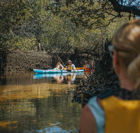 Kayak Tour in Adelaide Dolphin Sanctuary - Accommodation Broadbeach