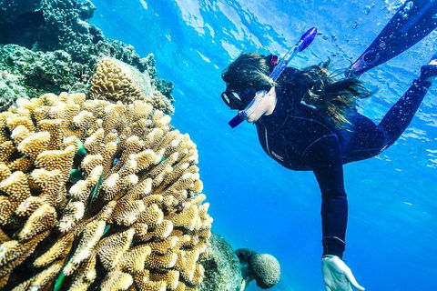 Green Island Day Trip From Cairns - Accommodation Broadbeach 1