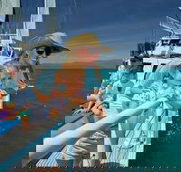 Ultimate 3-Day Great Barrier Reef Cruise Pass - Accommodation Broadbeach