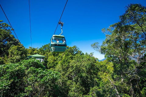 Skyrail Rainforest Cableway Day Trip From Cairns - Accommodation Broadbeach 1